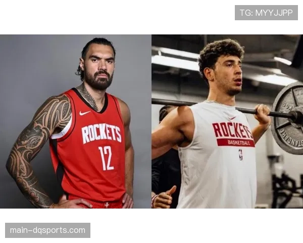 火箭vs湖人系列赛分析：申京与戴维斯的内线对决